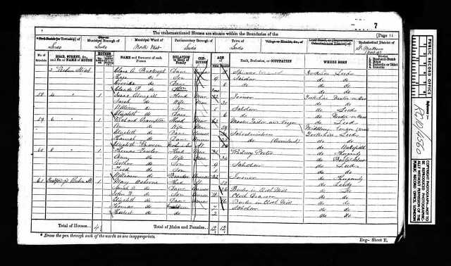 Clara 1871 census
